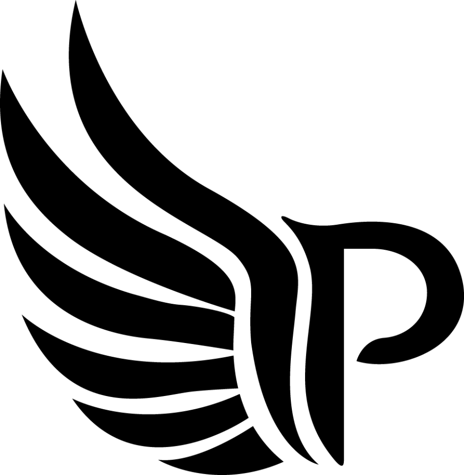 paragon-drones-logo